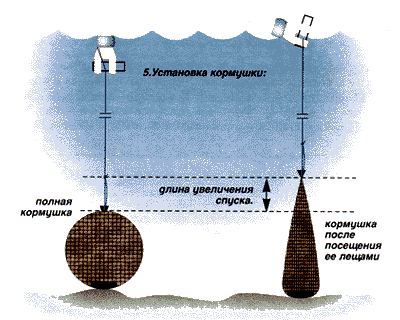 Лещ