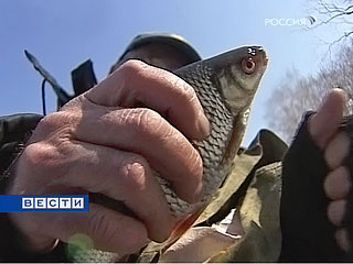 любители рыбалки Рыбалка, судебные приставы, любители рыбалки, улов