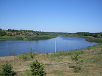 карп Коя Днепропетровск ловля карпа, карп Коя Днепропетровск, рыбалка