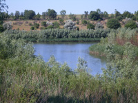 ловля рыбы Днепропетровск рыбалка, рыбалка Днепропетровск, ловля рыбы, карп